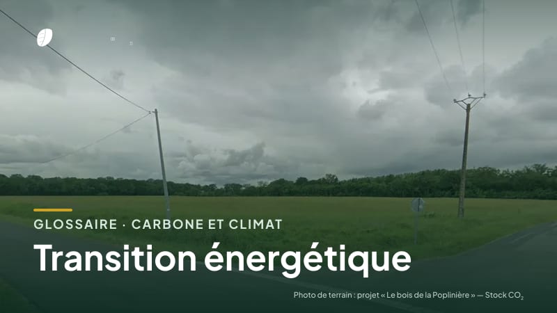 Illustration de la famille « Carbone et climat » du glossaire Stock CO₂, sur une photo de terrain : parcelle du projet « Le bois de la Poplinière »