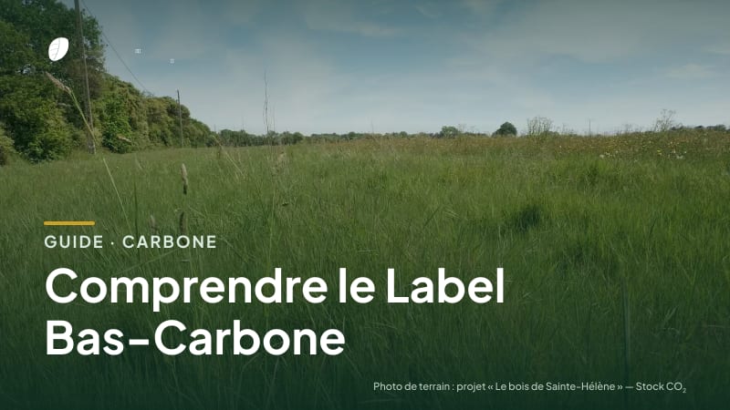Couverture du guide « Comprendre le Label Bas-Carbone » : titre sur une photo de terrain : parcelle du projet « Le bois de Sainte-Hélène »