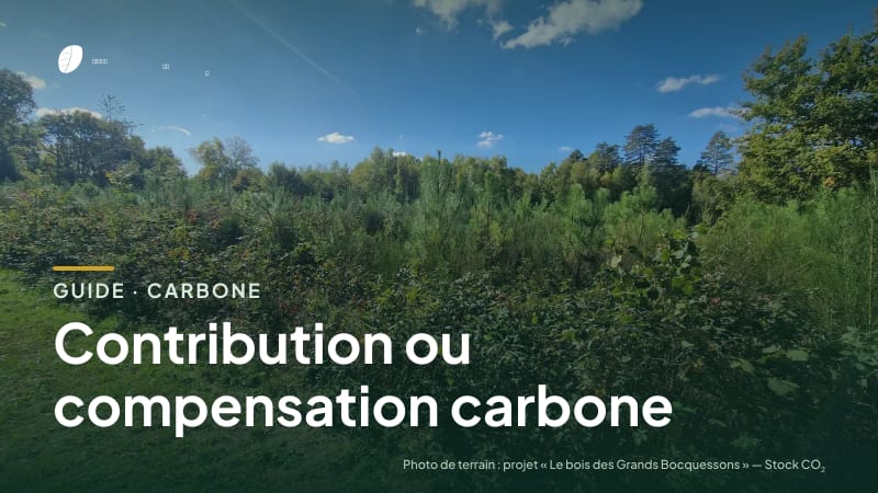 Couverture du guide « Contribution ou compensation carbone » : titre sur une photo de terrain : parcelle du projet « Le bois des Grands Bocquessons »