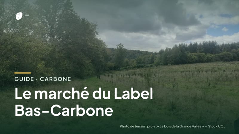 Couverture du guide « Le marché du Label Bas-Carbone » : titre sur une photo de terrain : parcelle du projet « Le bois de la Grande Vallée »