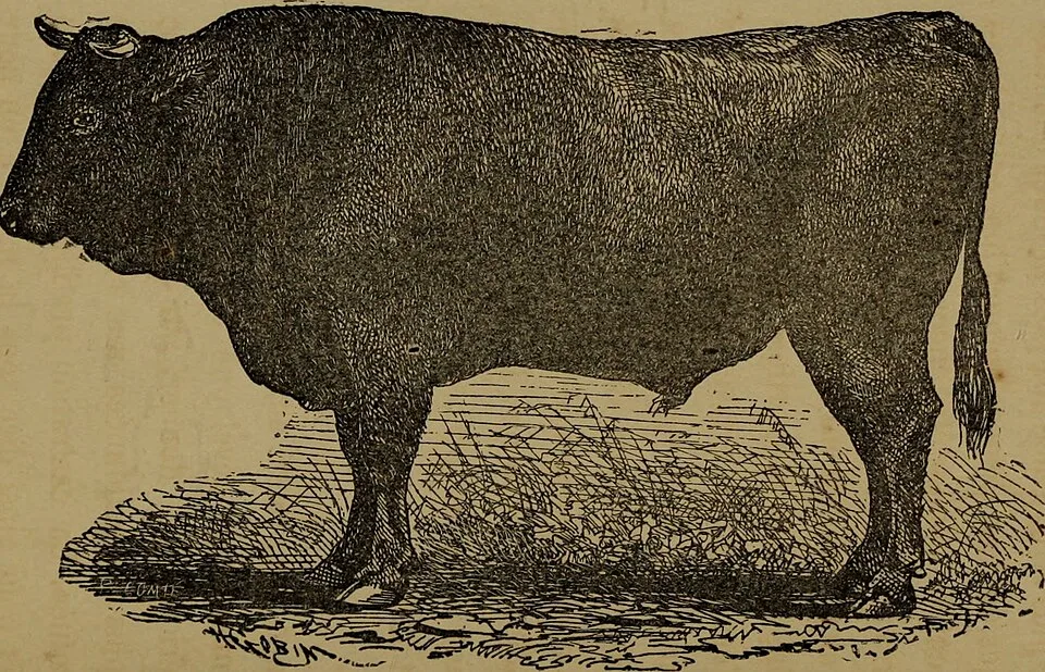 Qualité des fourrages